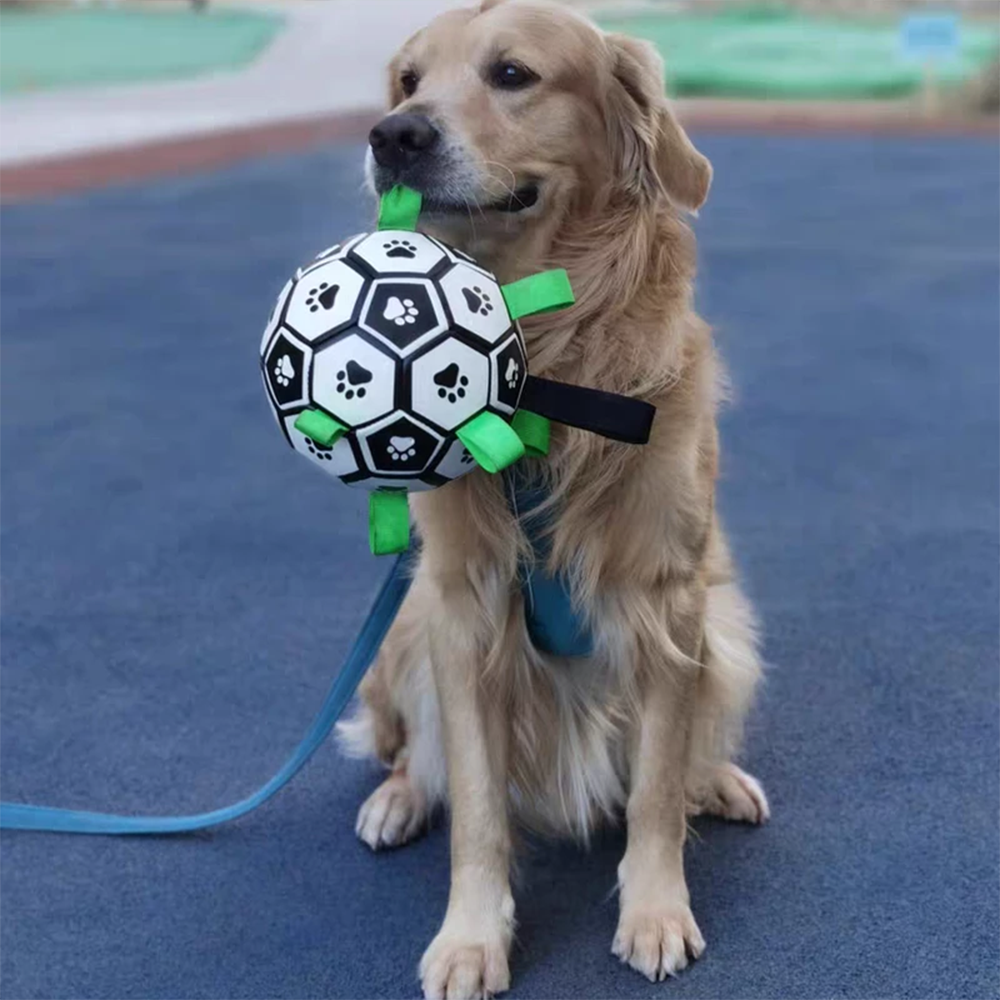 Soccer Ball For Dog